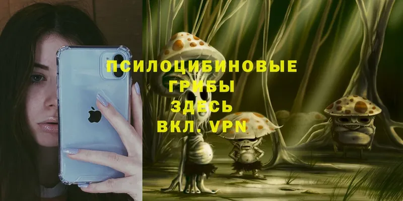 Галлюциногенные грибы MAGIC MUSHROOMS  кракен ССЫЛКА  Усолье-Сибирское  как найти наркотики 